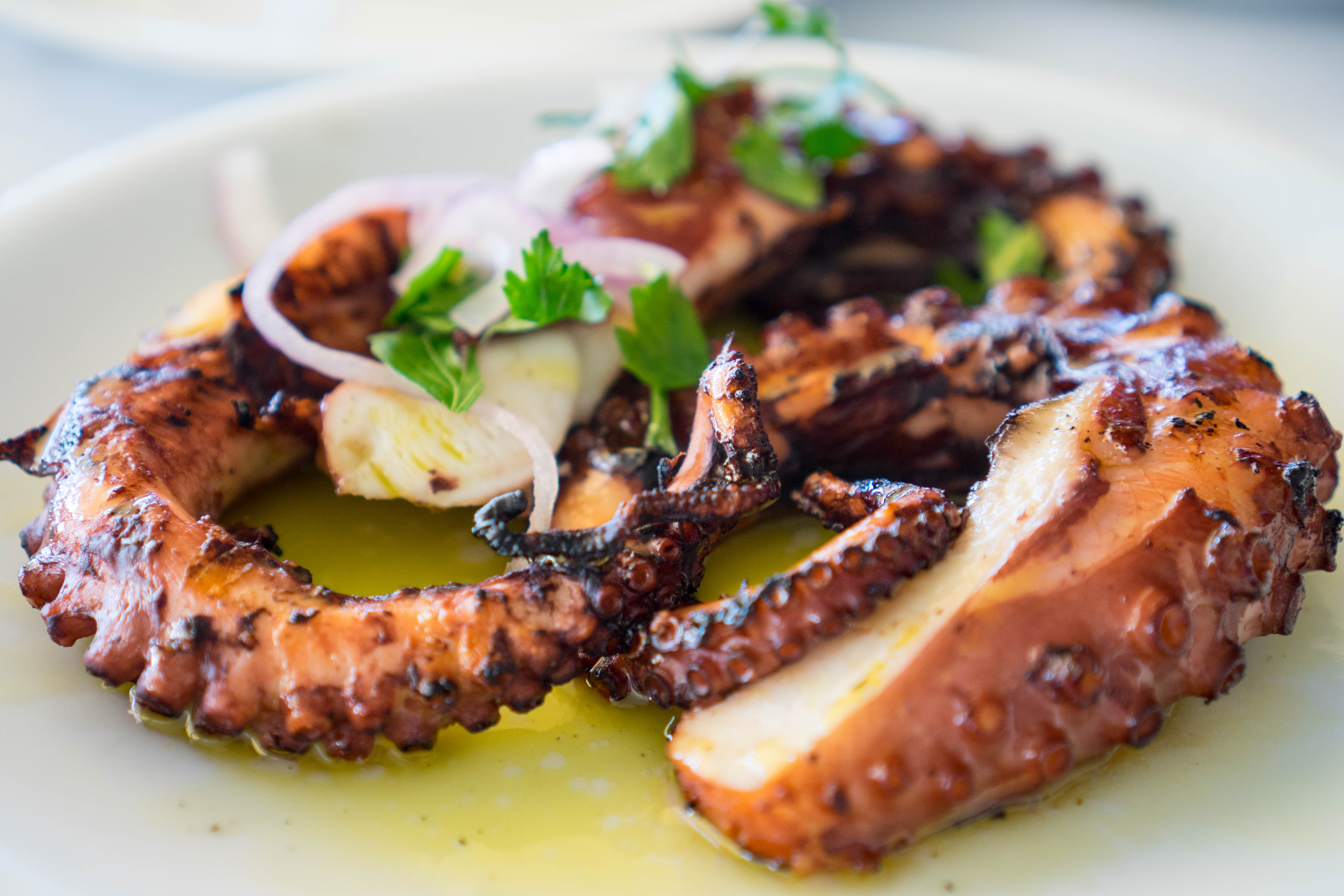 Grilled octopus with red onions and parsley on a white plate.