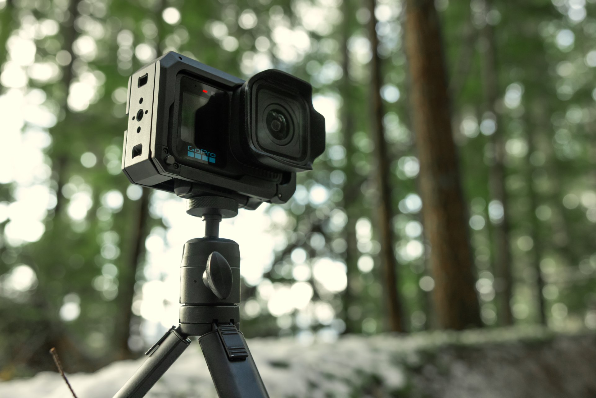 A GoPro camera mounted on a tripod in a forest.