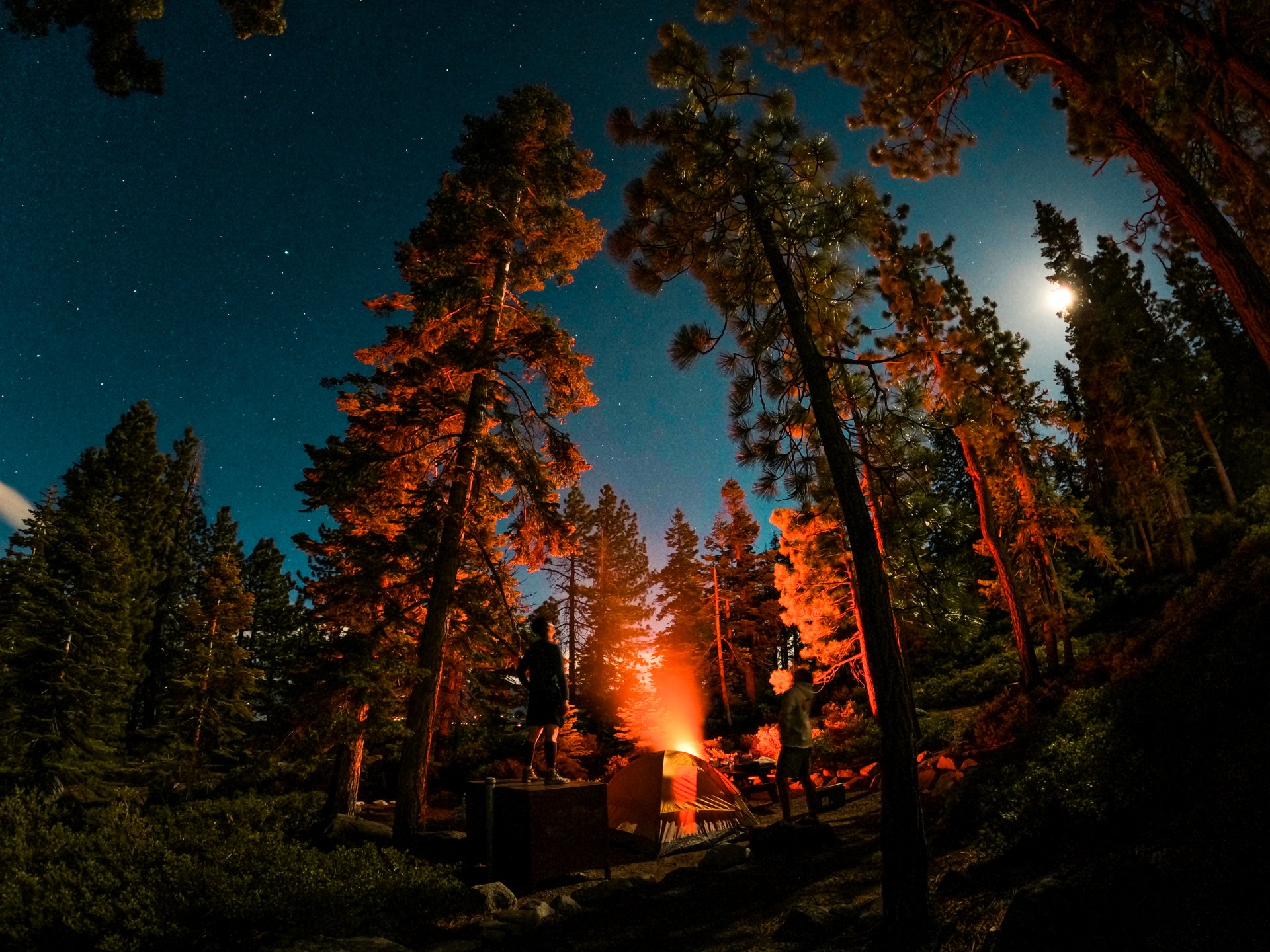 Two people camping at night by a glowing fire under a starry sky.