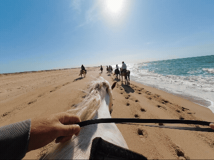 First-person view of horseback riding on a sunny beach.